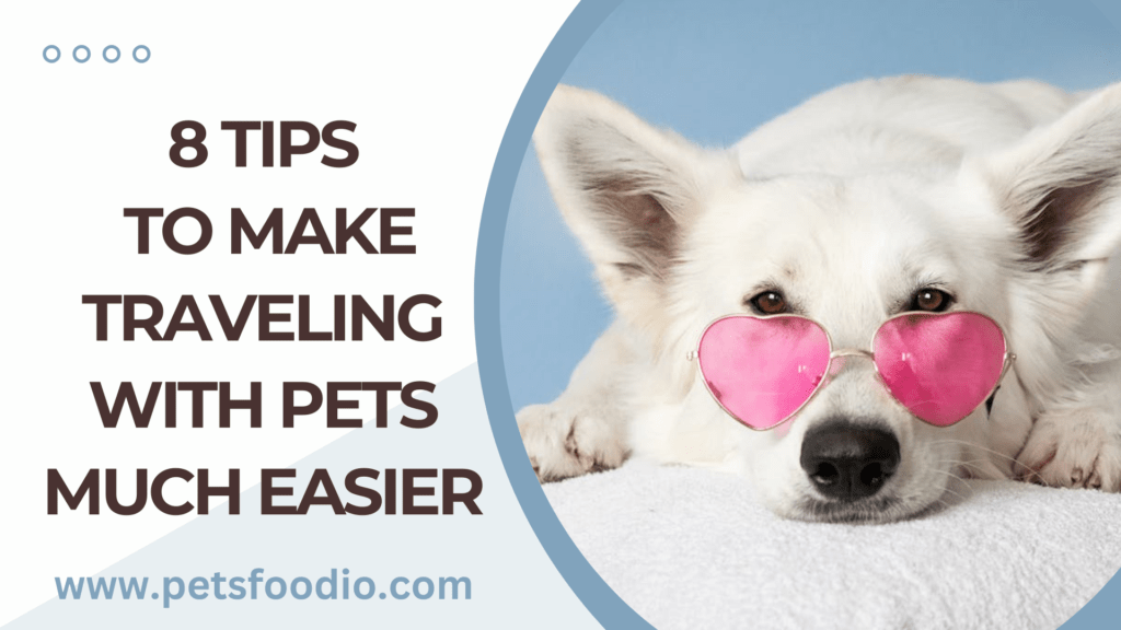 8 Tips to Make Traveling with Pets Much Easier